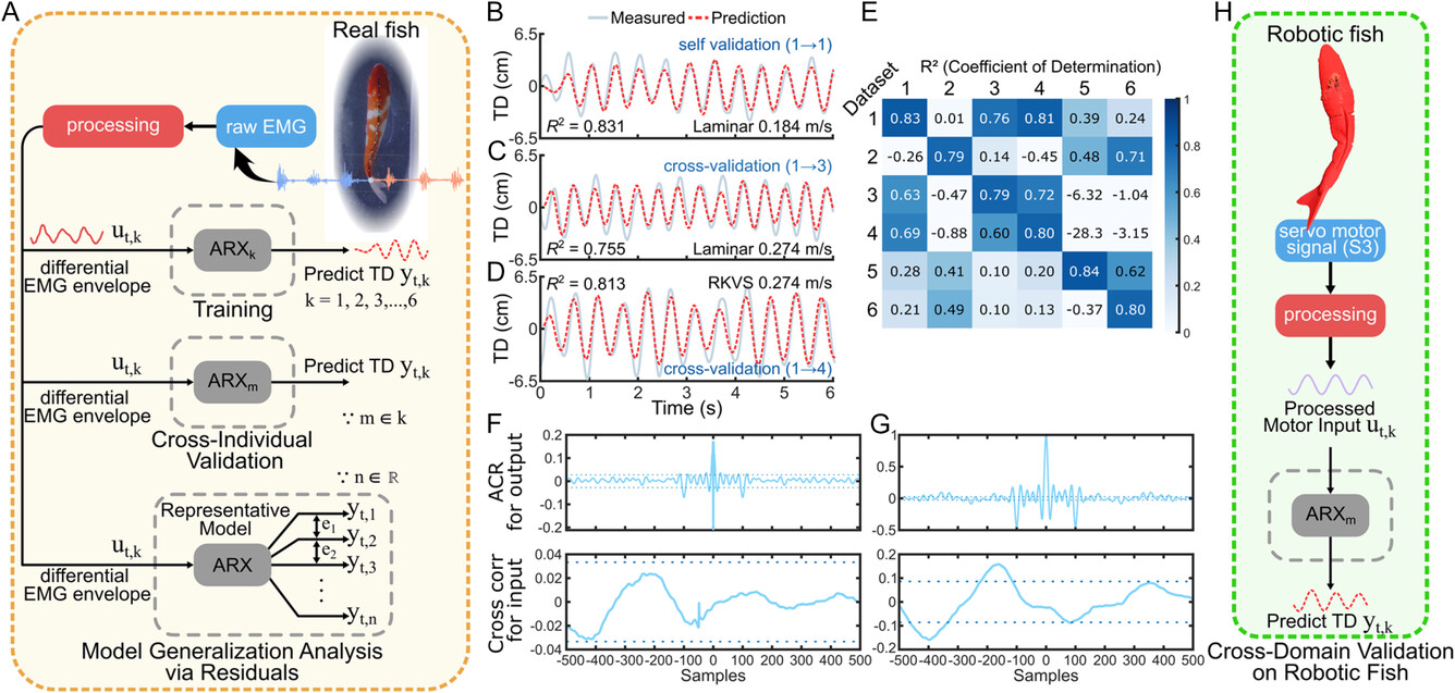 ARX training, cross-validation, residual analysis, and robotic validation workflow